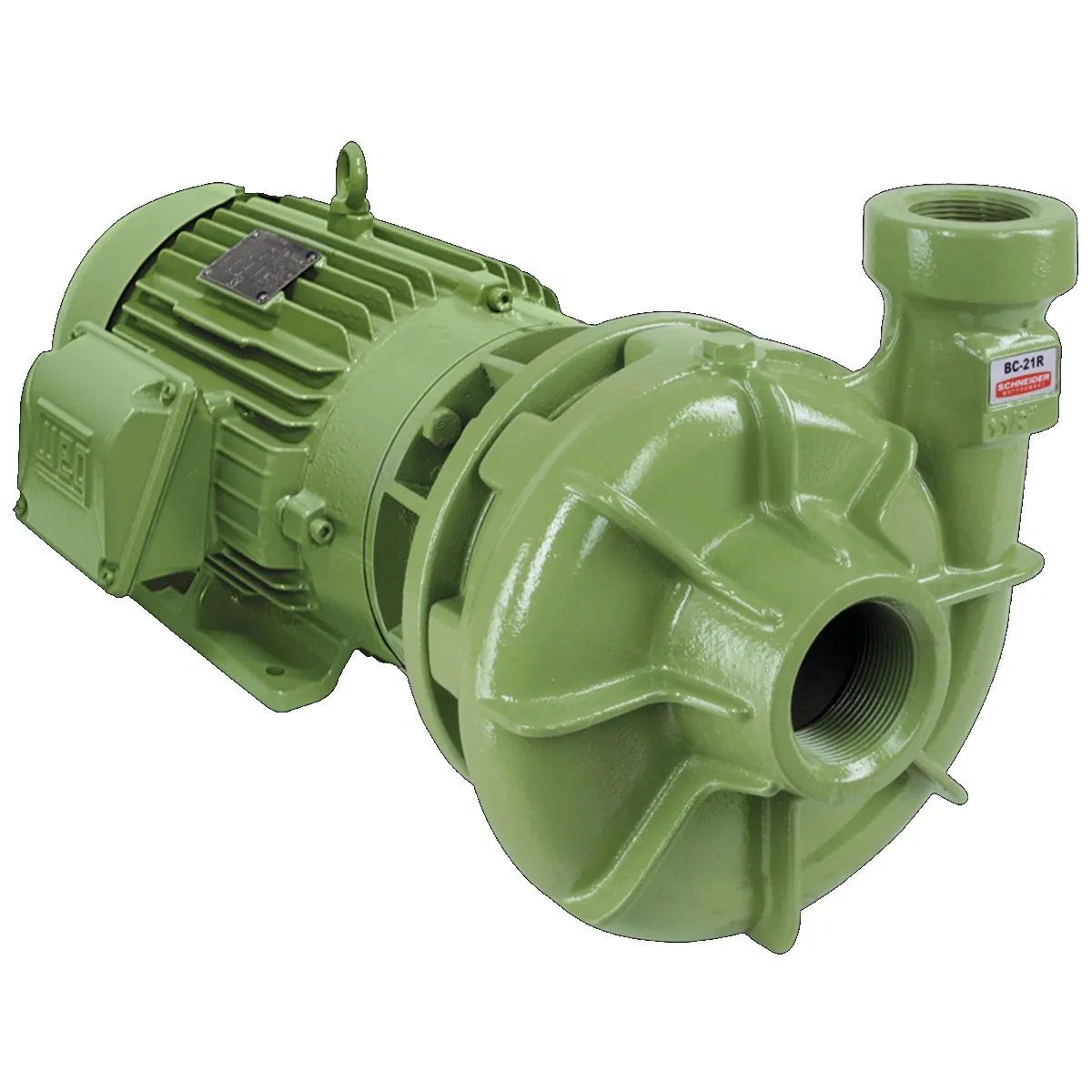 Bomba Centrífuga Monoestágio Schneider BC-21 R 2 1/2 10 CV Monofásica 220V/440V Com Capacitor