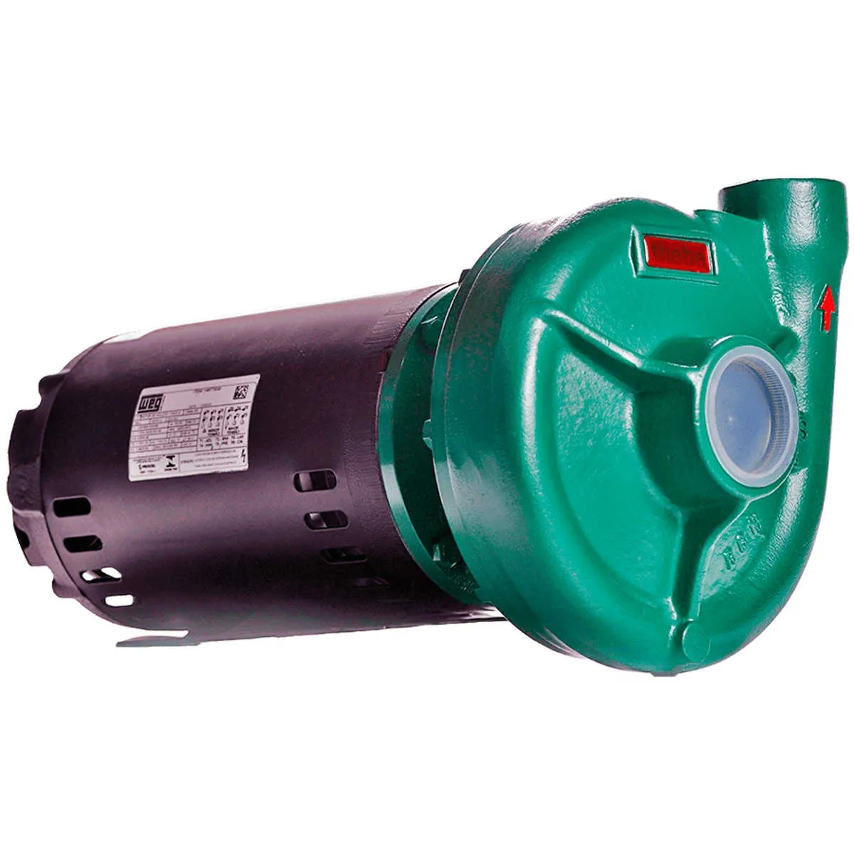 Bomba Centrífuga Monoestágio Thebe Thl-13 1,5 Cv Trifásica 220v/380v